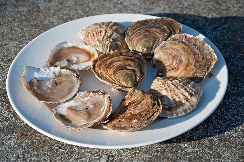 SpÃ©cialitÃ©s culinaires : Ile et Villaine