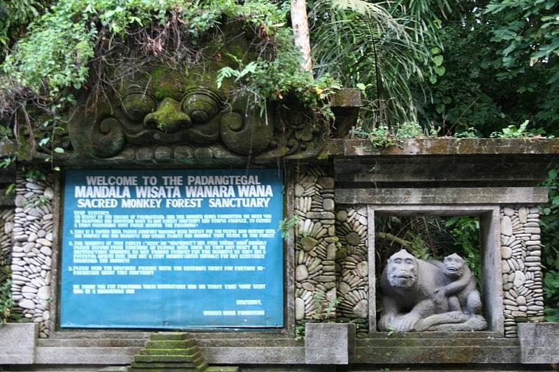 Monkey Forest