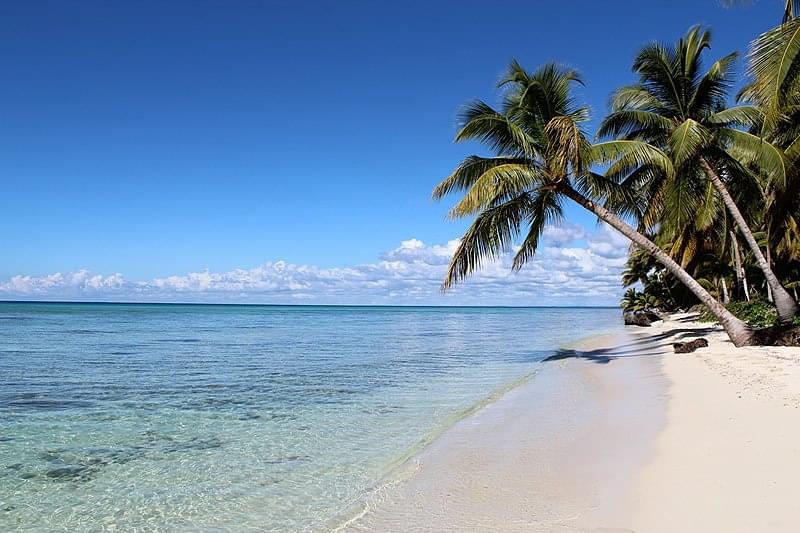 Ile Saona