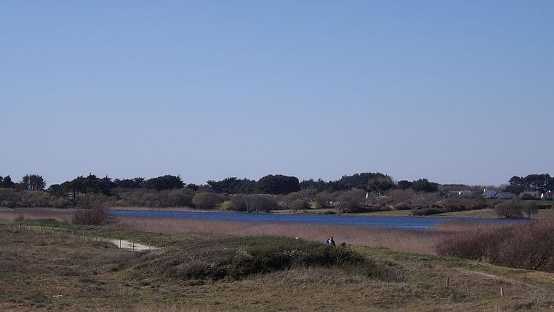 Etangs de TrÃvignon