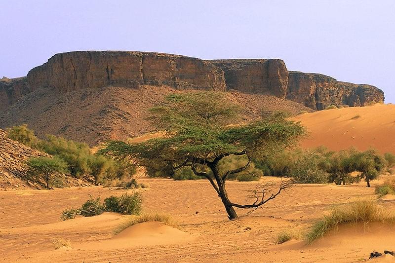 Le désert de Mauritanie