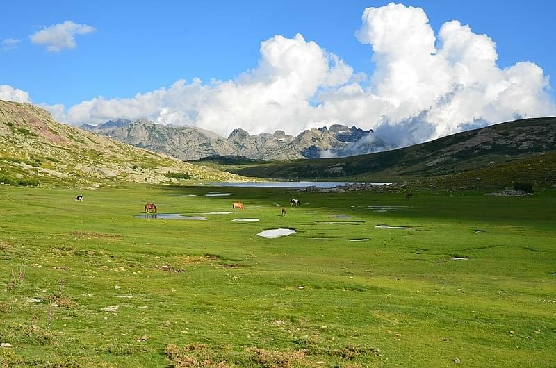 Le Parc naturel rÃgional de Corse