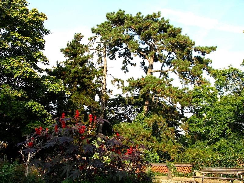 Le jardin botanique de zurich
