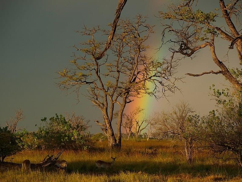 Moremi Wildlife Reserve