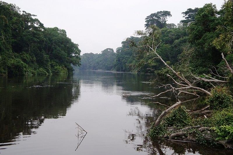 Réserve de faune du Dja