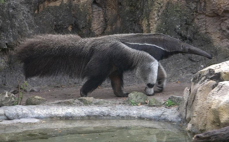 Parc national de Los Katios