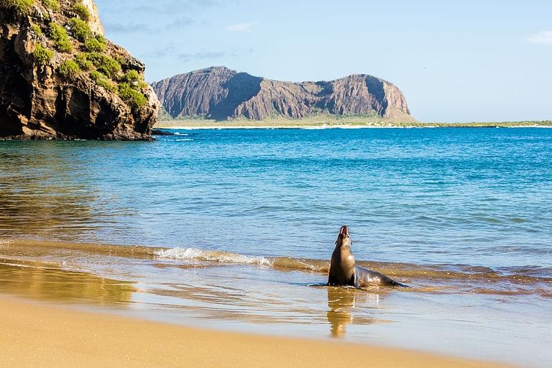 Iles Galapagos