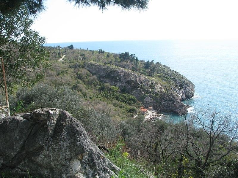 Rezevici