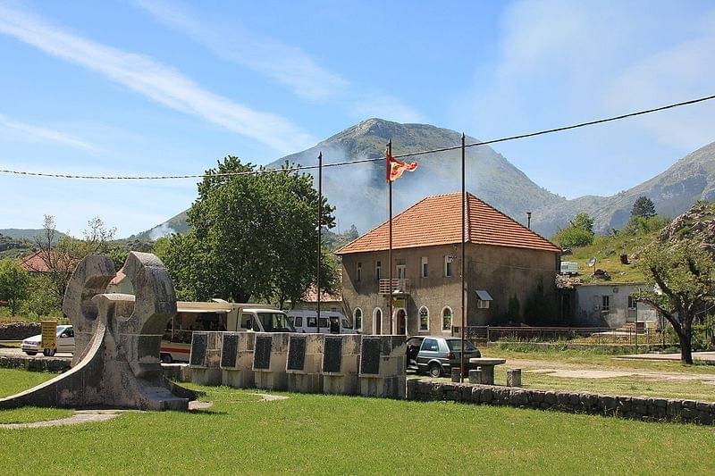 Njegusi