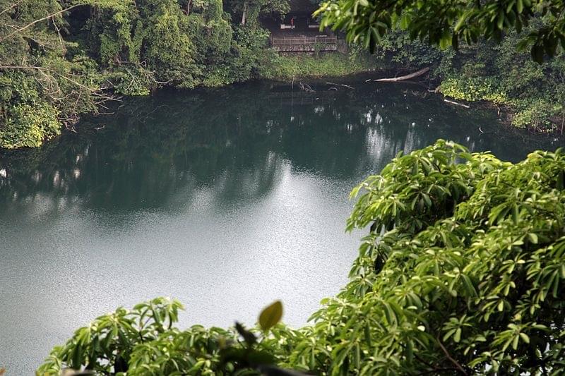 RÃserve naturelle de Bukit Timah
