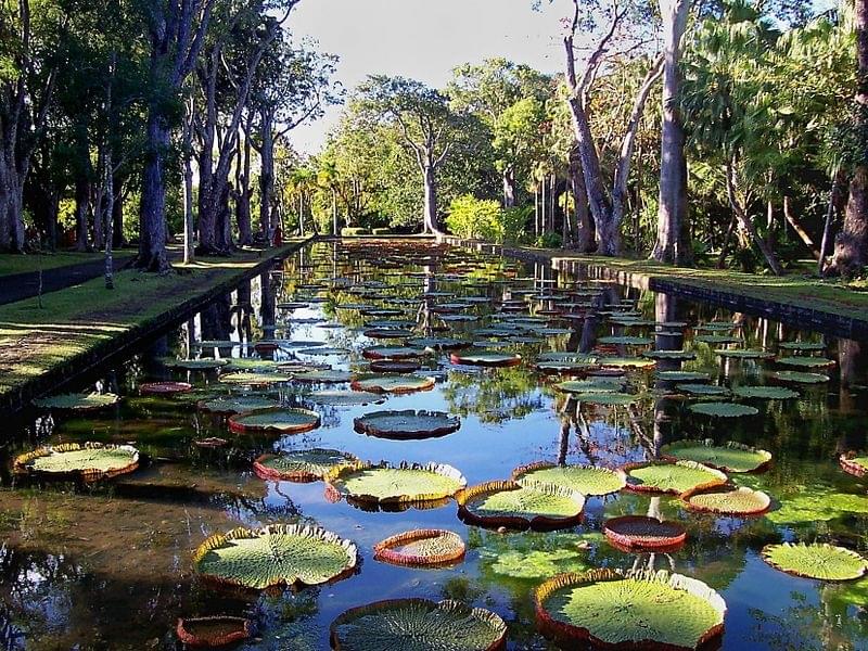 Jardin Botanique de Pamplemousses