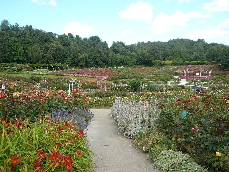 Le parc floral de la Colline aux oiseaux  Caen