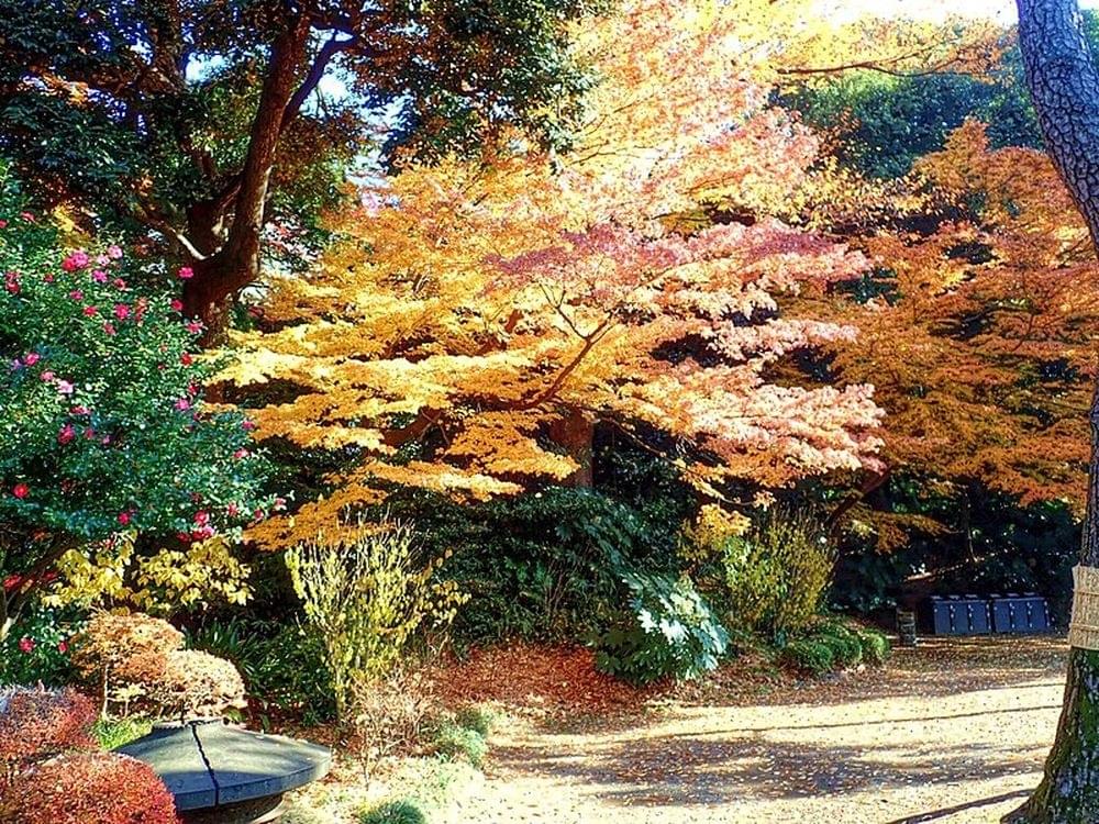 Koishikawa Korakuen