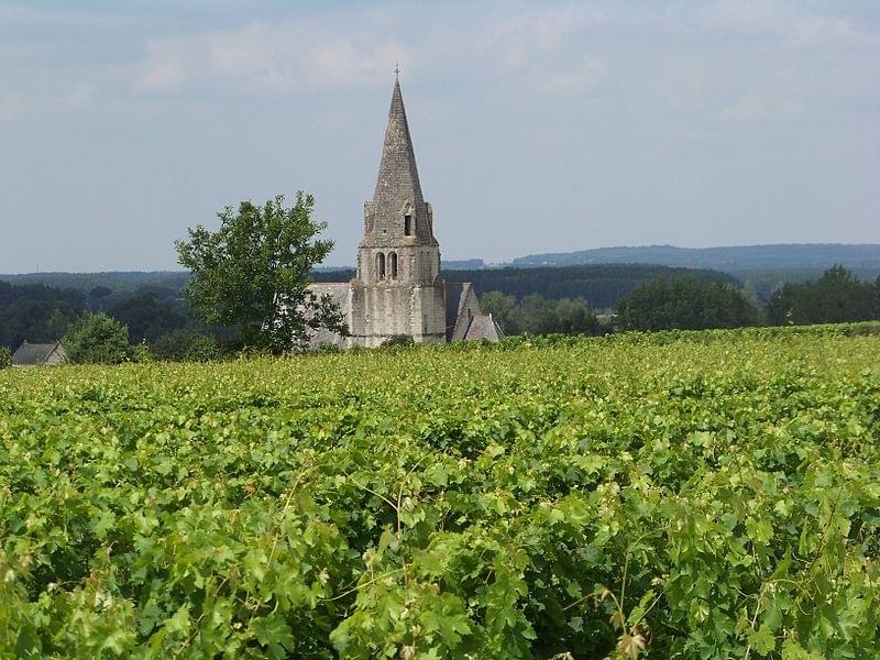 La cave des Vigneron de Saumur