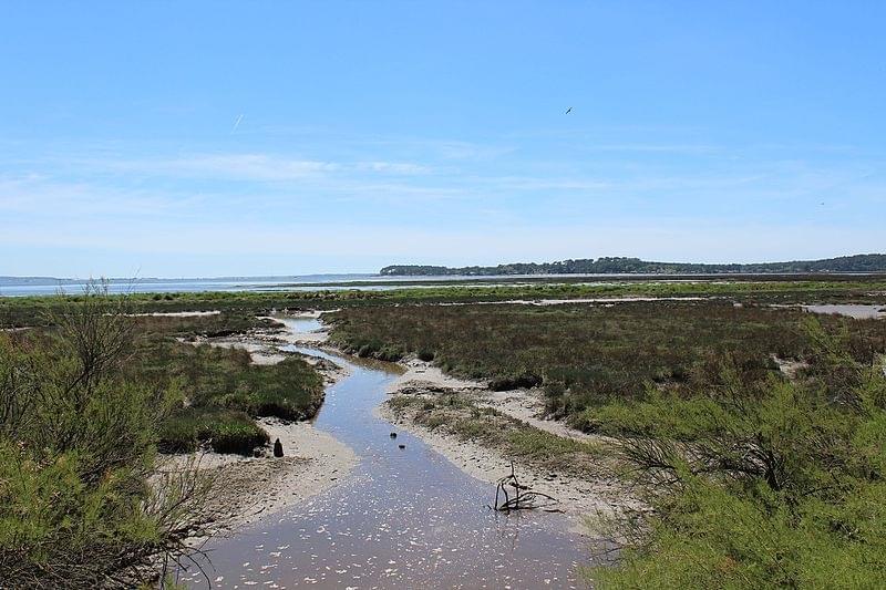 Les PrÃs SalÃs dArÃs LÃge Cap Ferret