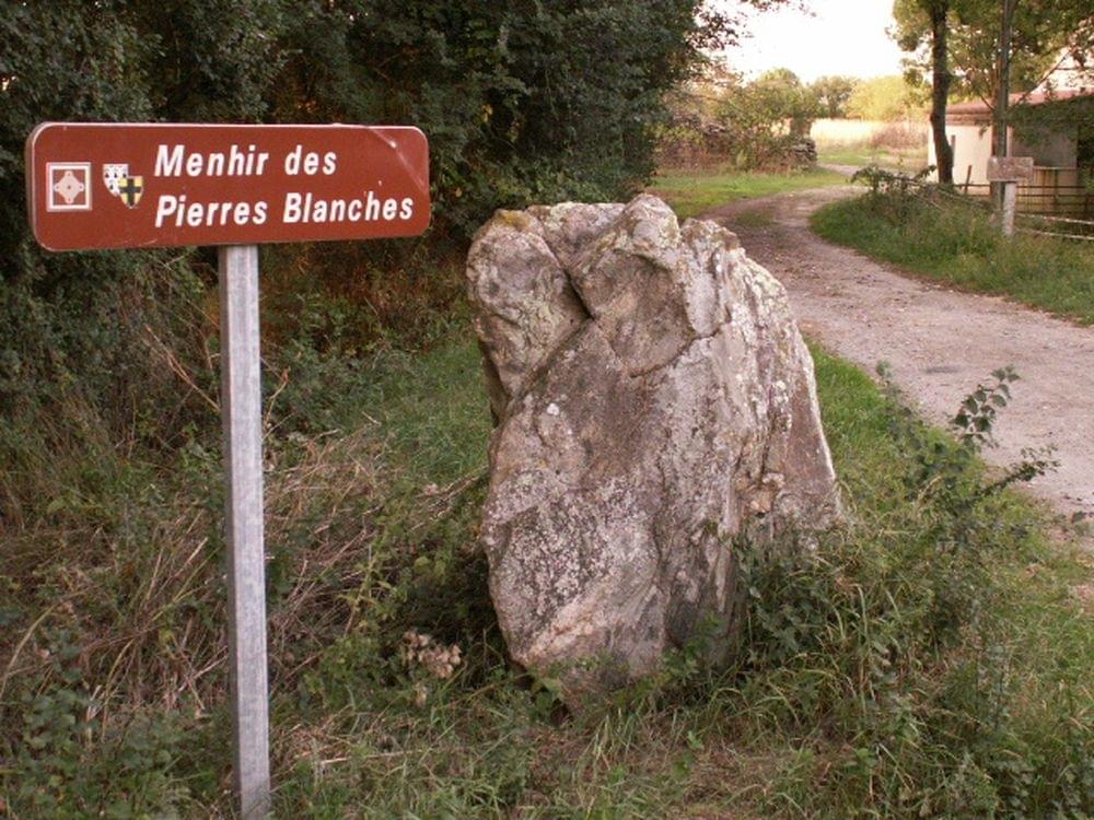 La forÃªt domaniale des Pierres Blanches