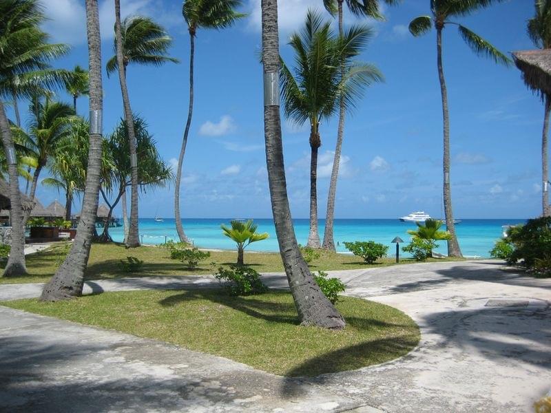 Les vignes de Rangiroa PolynÃsie