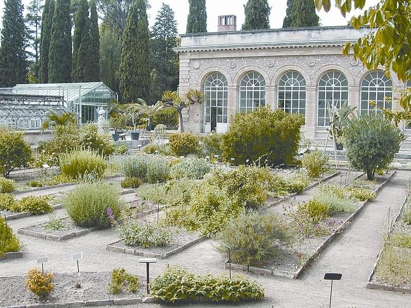 Le Jardin des Plantes