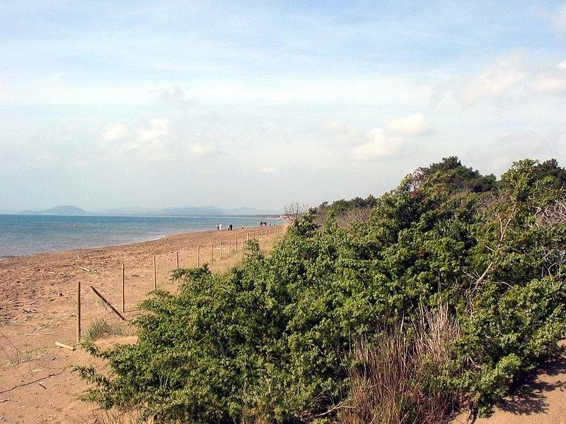 Plage de Gianella