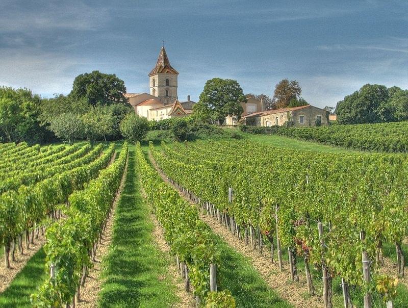 Maison des vinsBlaye