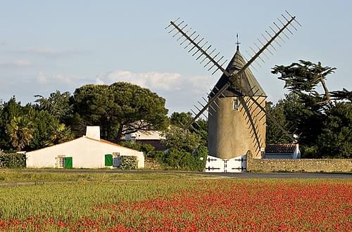 CoopÃrative des Vignerons de lIle de RÃ