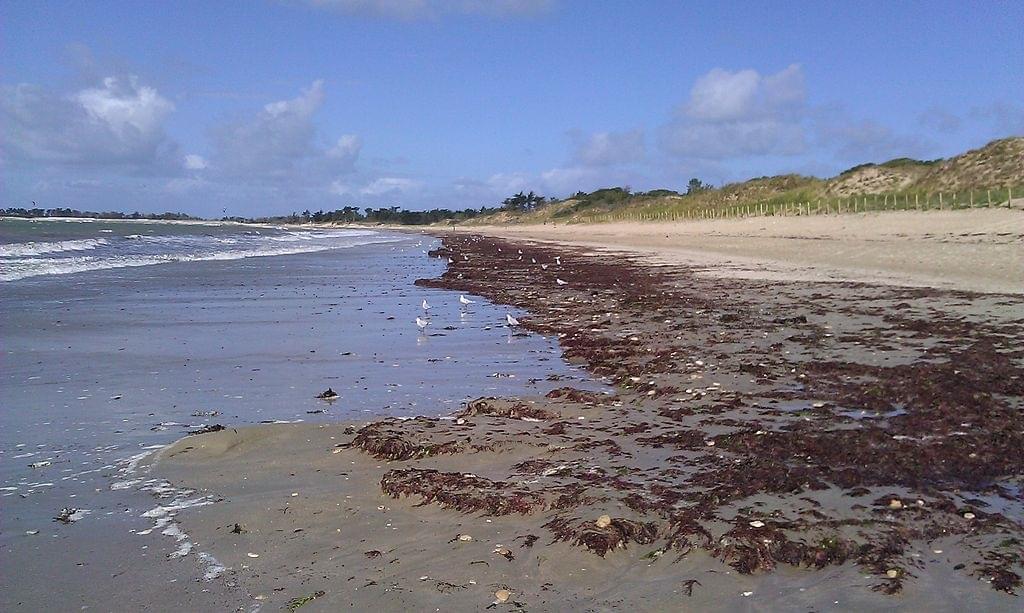 Plages de La Couarde