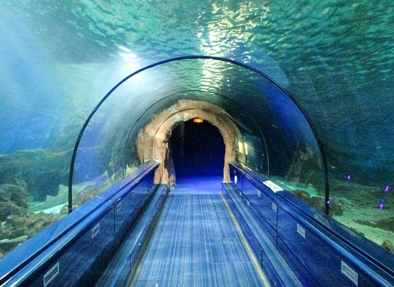 MusÃ©e aquarium d'Arcachon