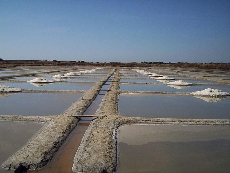 ÃcomusÃe du marais salant
