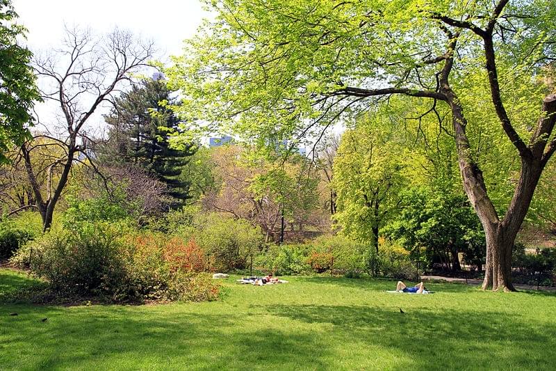 Central Park  Strawberry Fields
