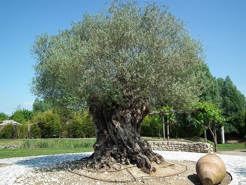Les jardins du monde