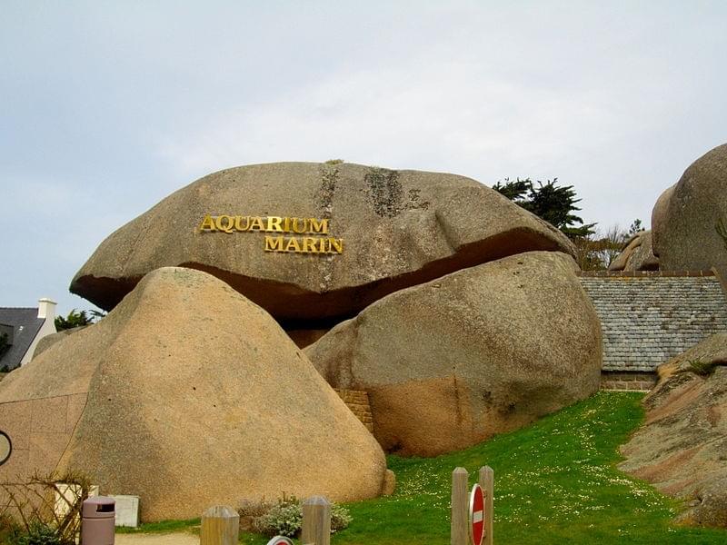Aquarium marin