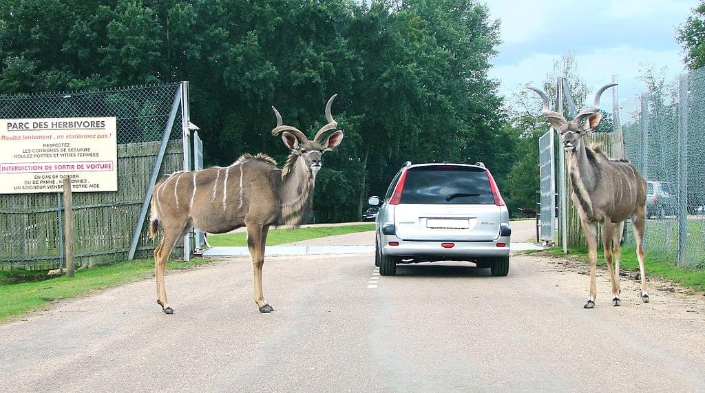 Zoo de Thoiry