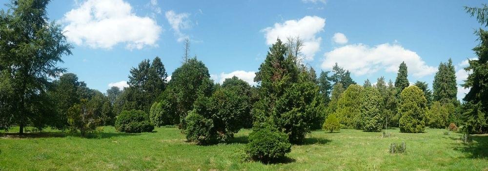 Arboretum de ChÃvreloup