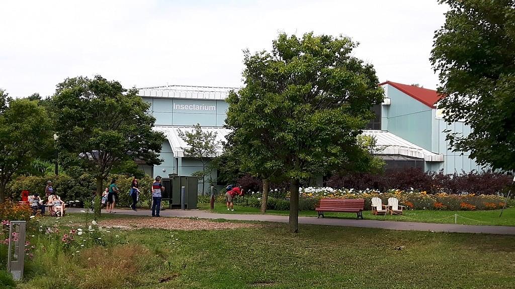 Insectarium de MontrÃal