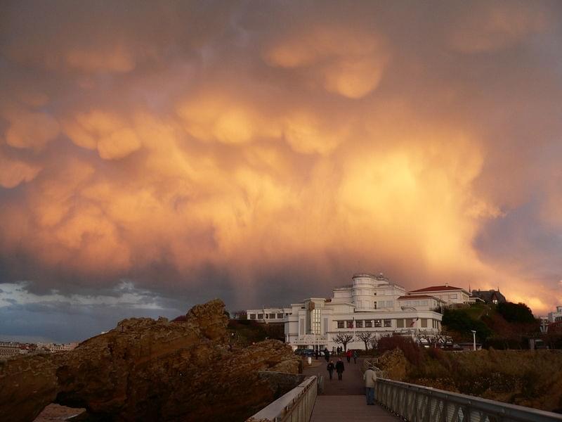Aquarium de Biarritz