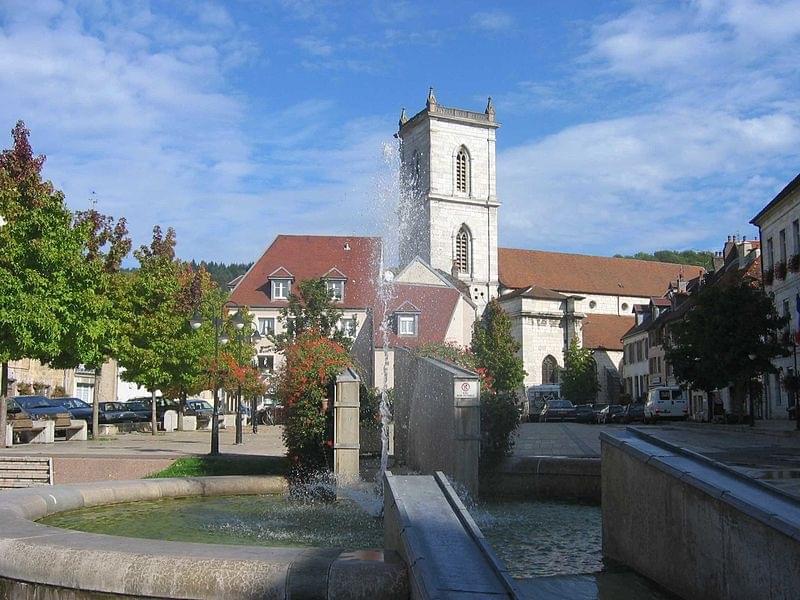 BaumelesDames