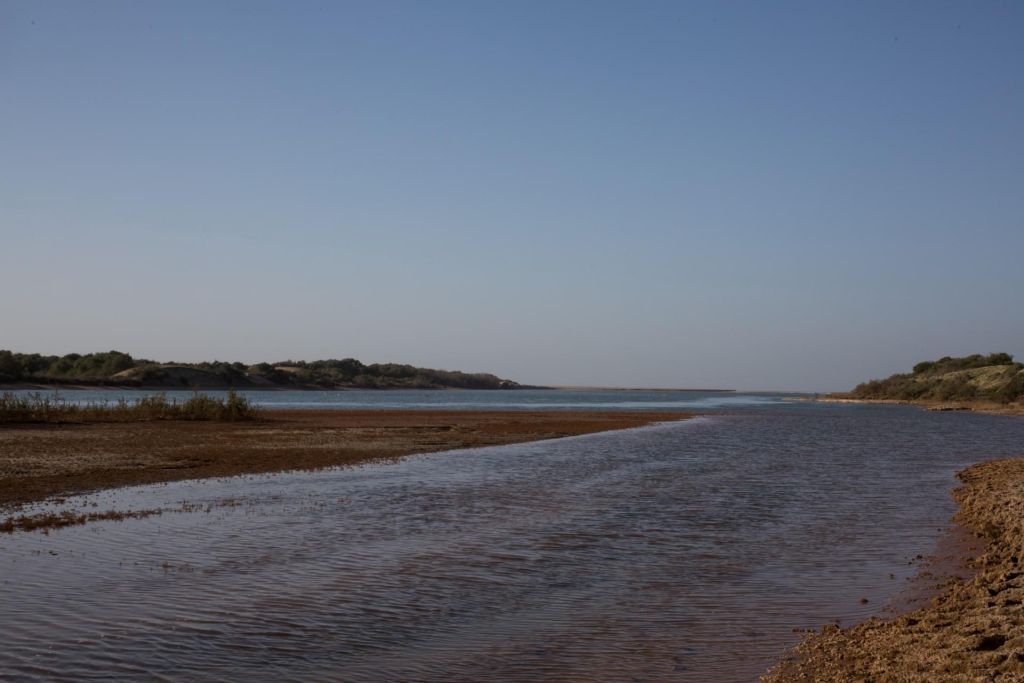 Parc national du Souss Massa alentours dAgadir