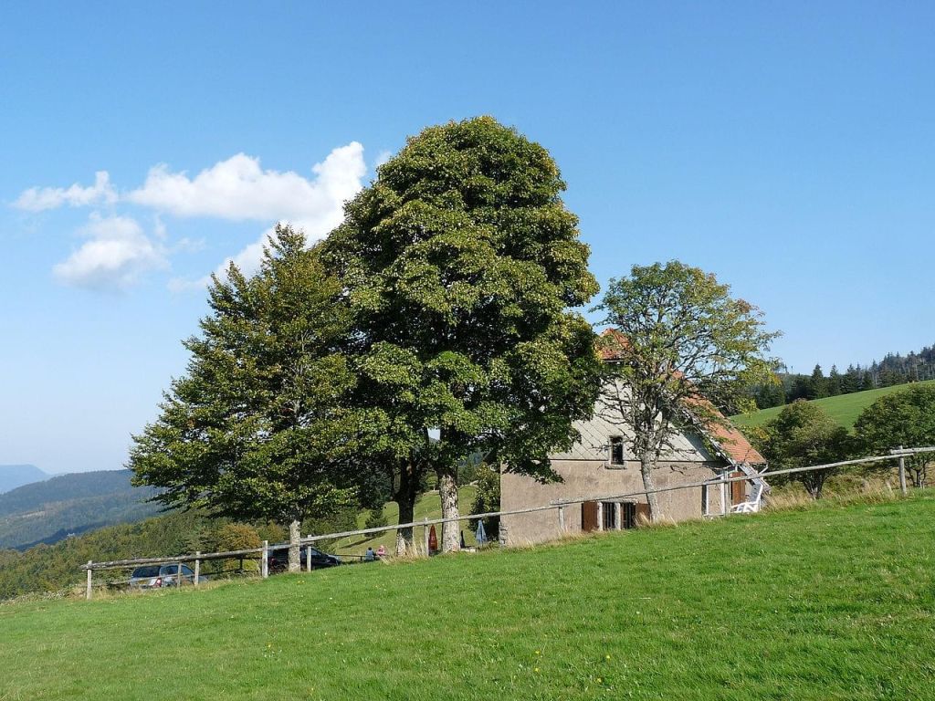 Le Brézouard