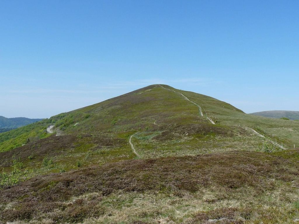 Petit Drumont Vosges