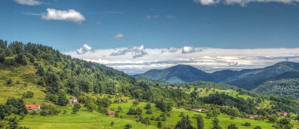 Vallée de Munster