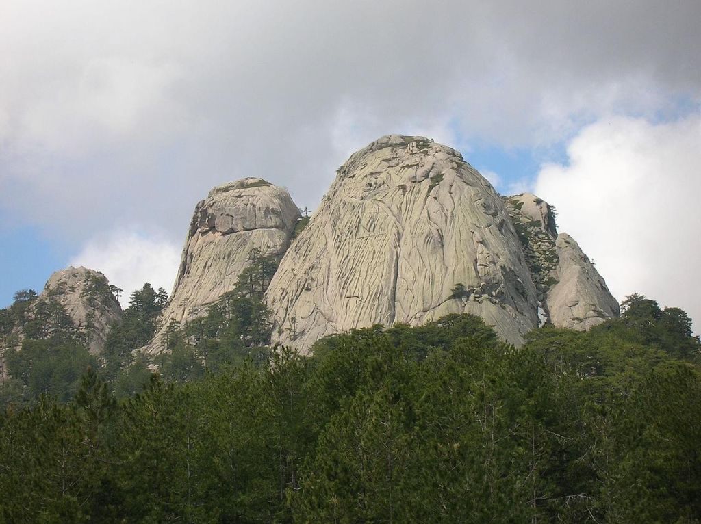 Forêt de Libio