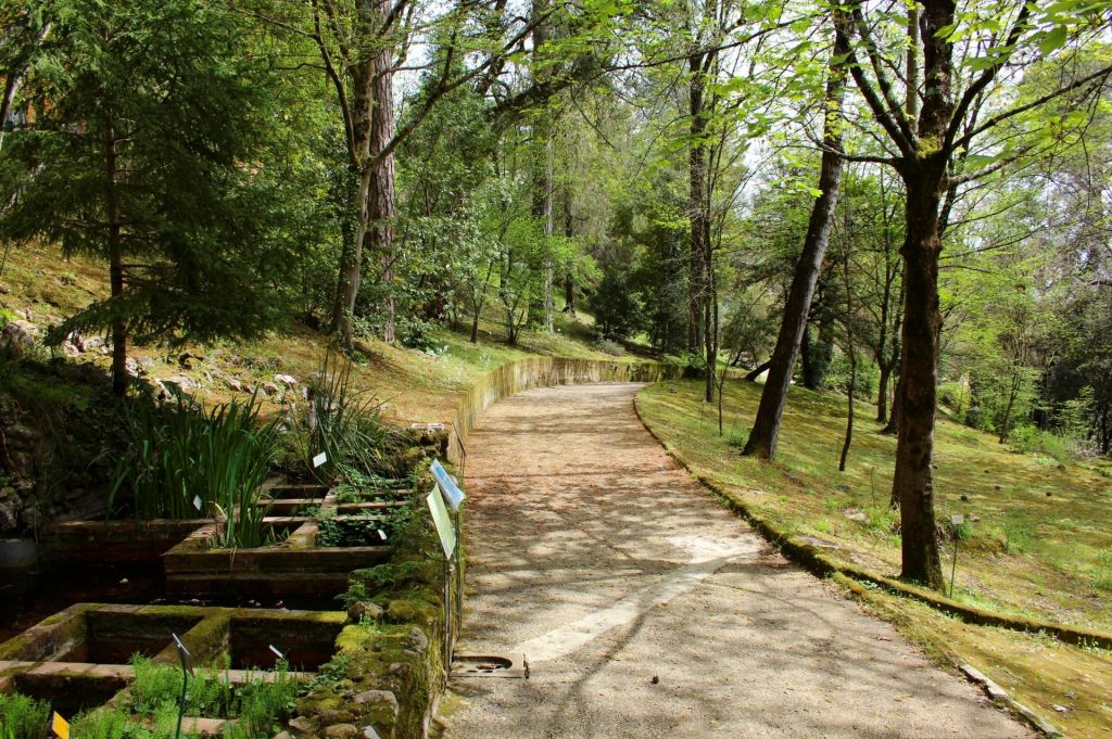 Jardins de Tolomei
