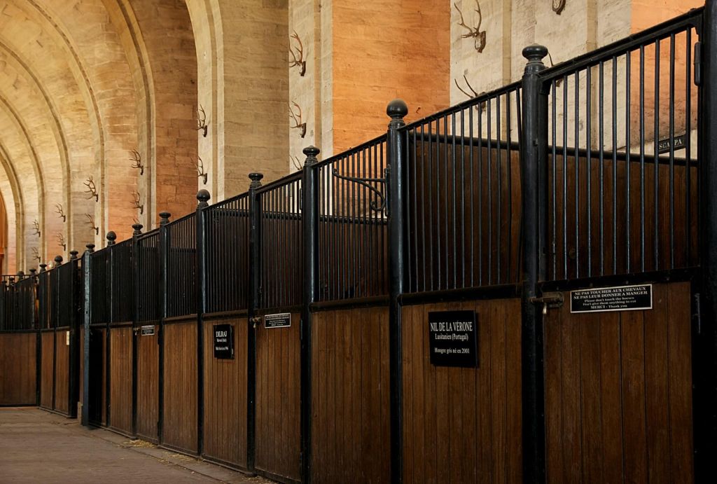 Musée Vivant du Cheval et du Poney