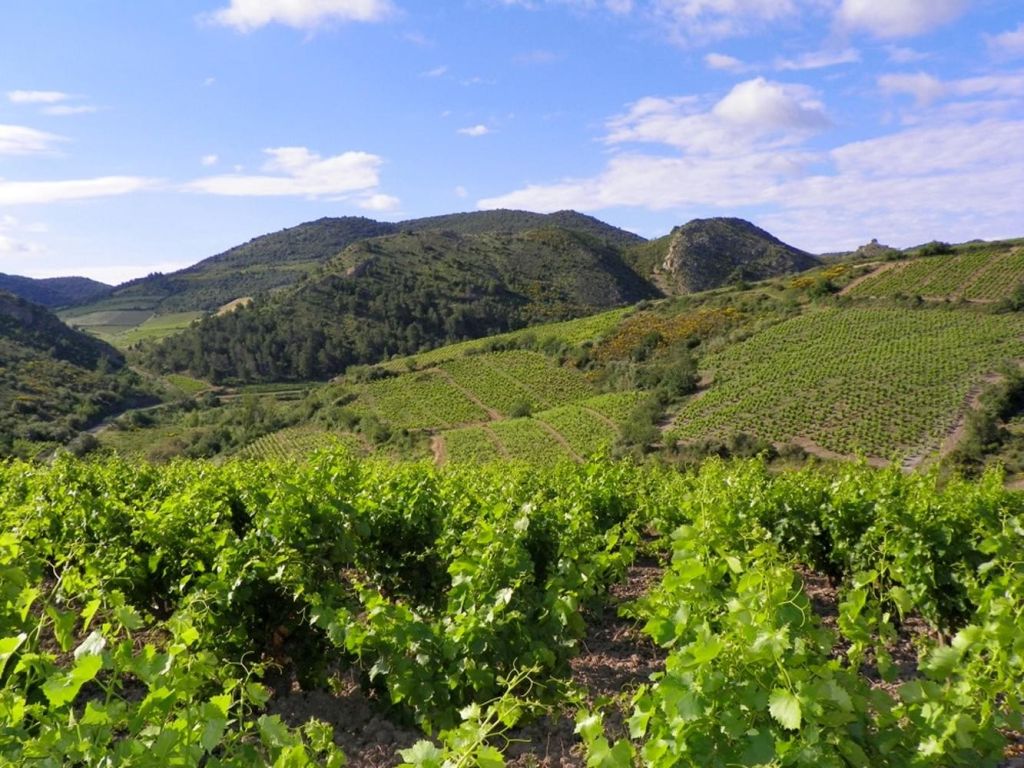 Les Corbières Cathares
