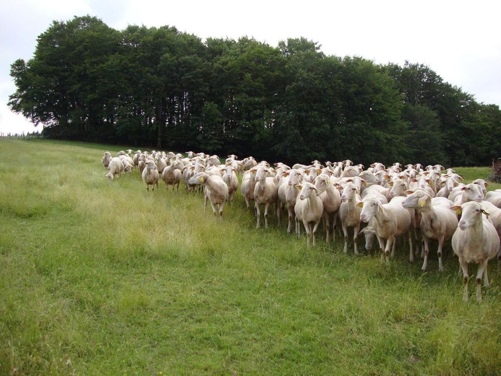 Route de la Crouzette