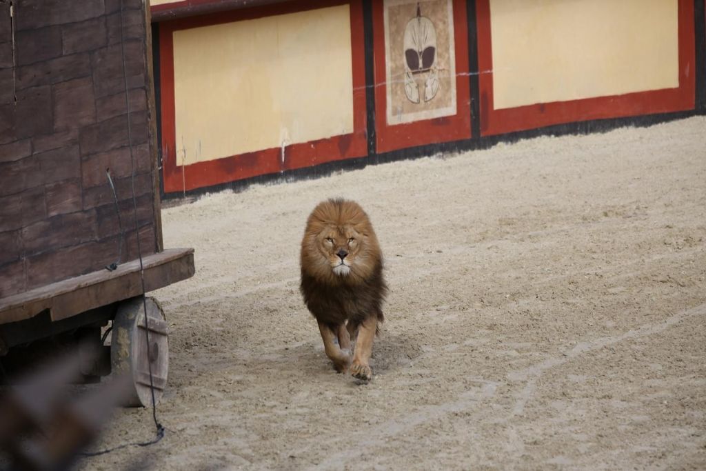 Le Grand Parc Du Puy du Fou