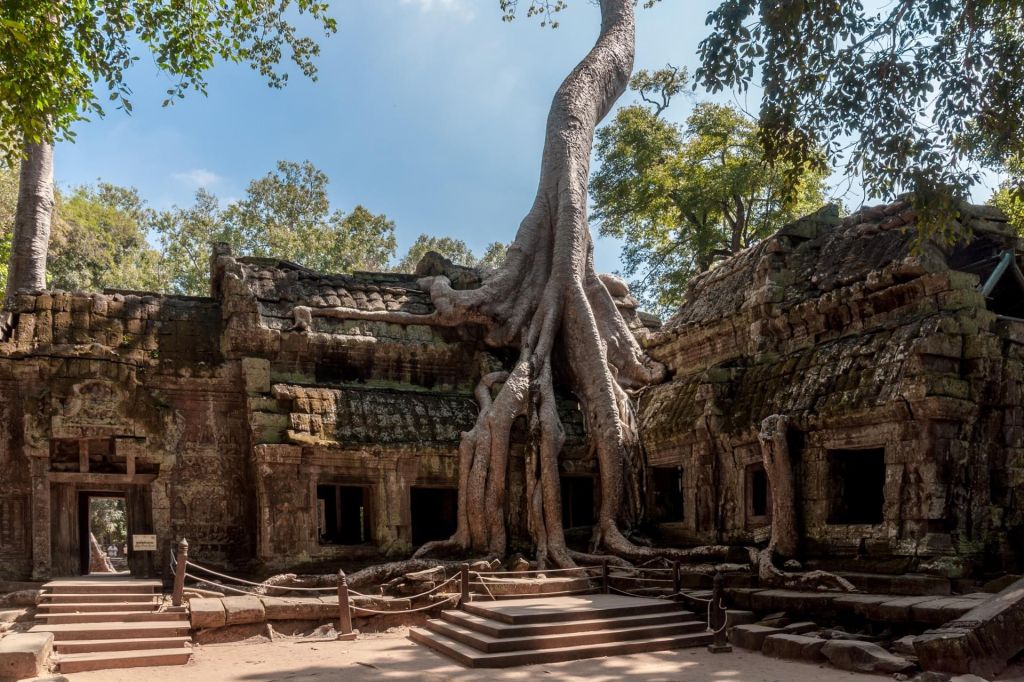 Temple de Ta Phrom