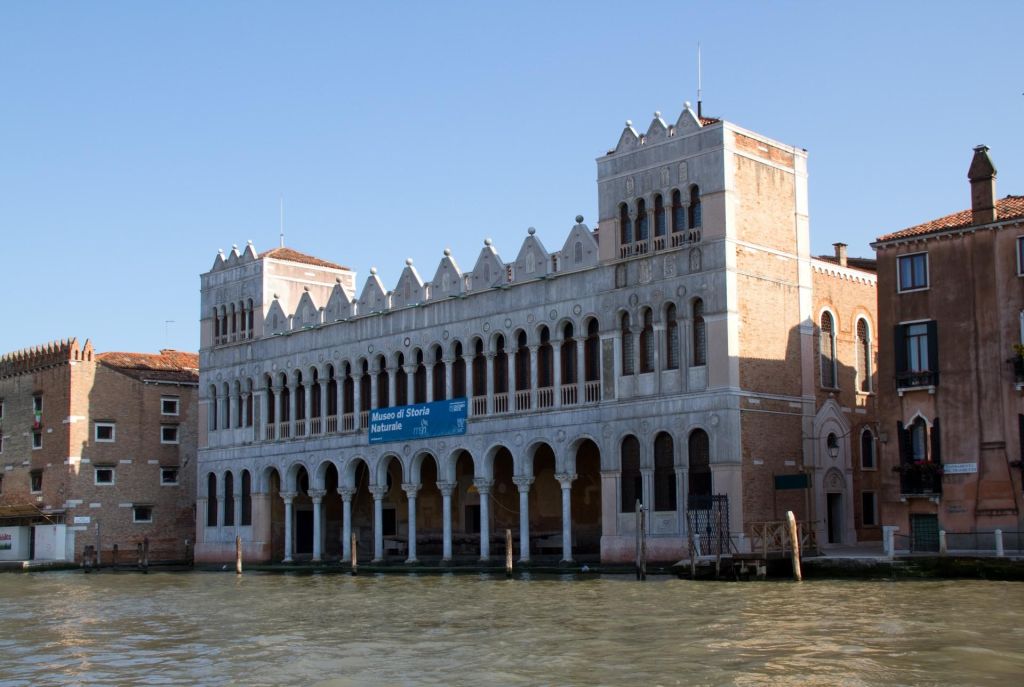 Museo di Storia Naturale  musée dhistoire naturelle