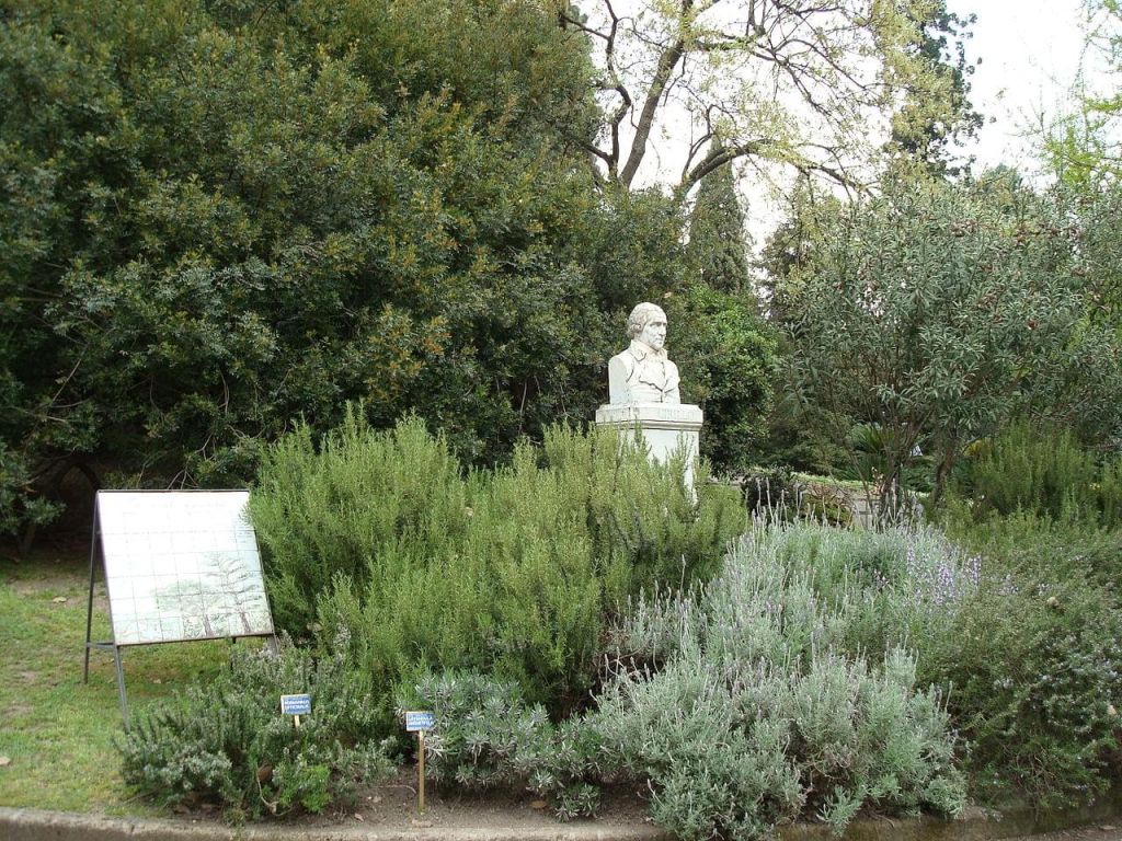 Orto Botanico di Napoli  Jardin botanique