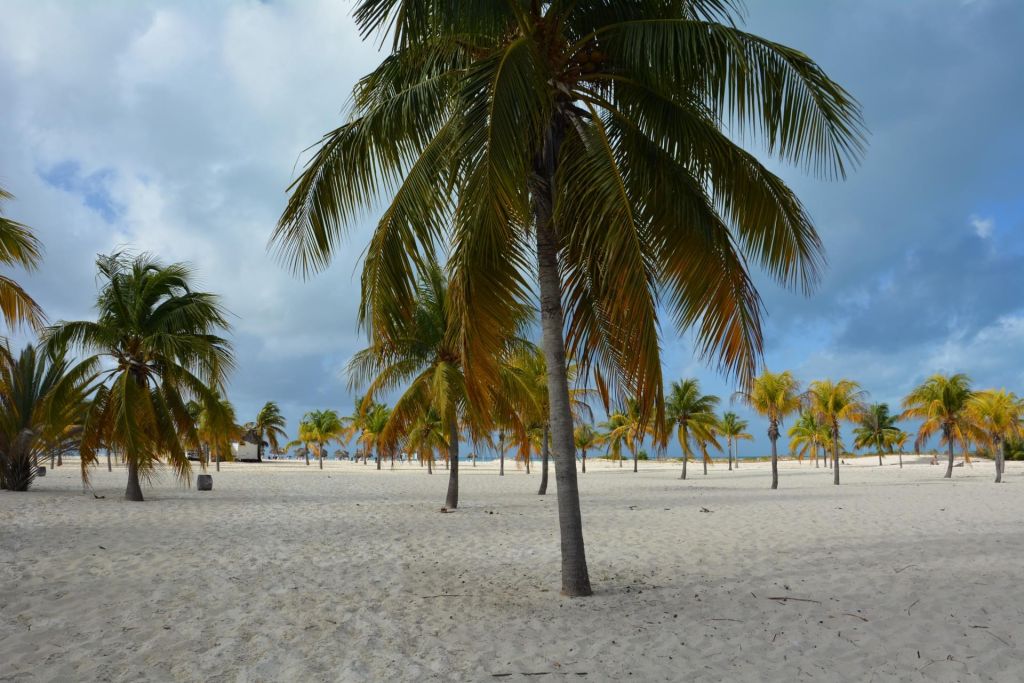 Cayo Largo